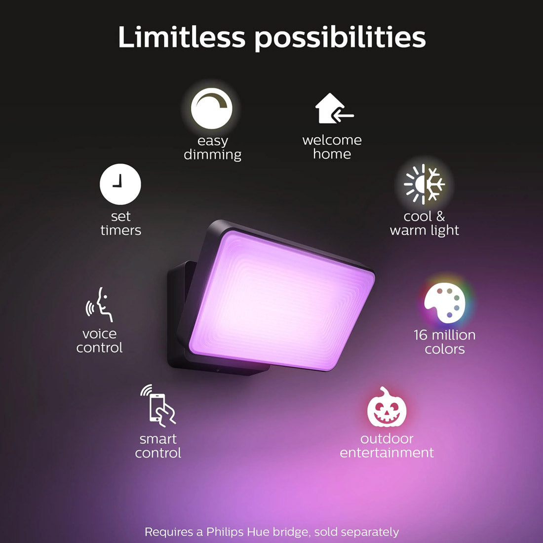 Philips Hue Outdoor Discover Flood Light