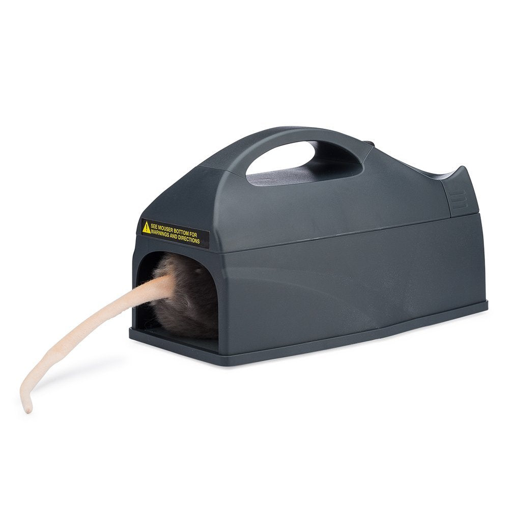 DOME Z-Wave Mouse trap Zapper Pest Control SmartHome Notification