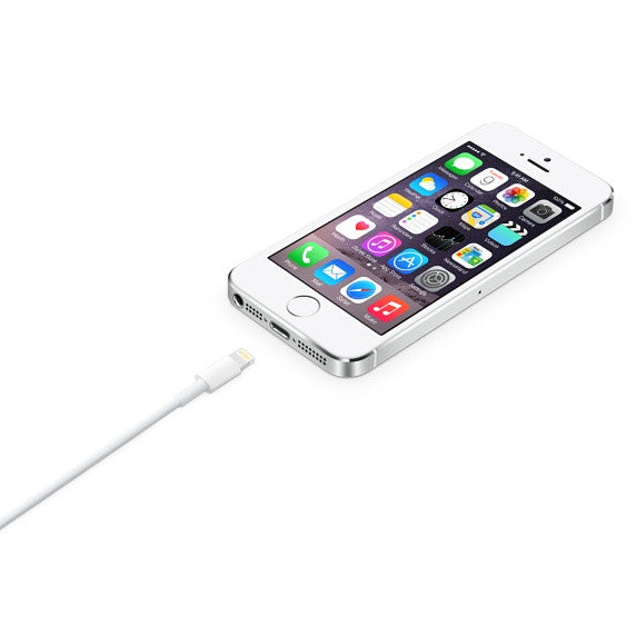 MD819 2M Lightning USB Cable for iPhone/iPad